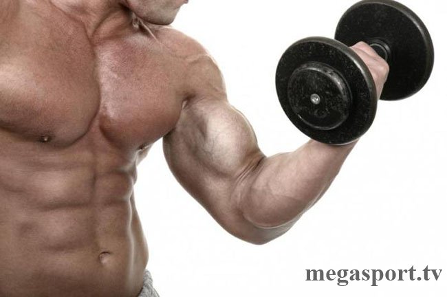 Как накачать сильные мышцы?