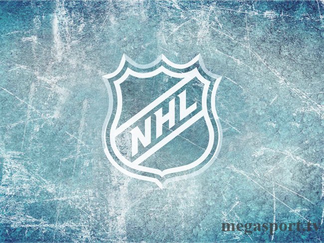 Национальная хоккейная лига: краткая характеристка